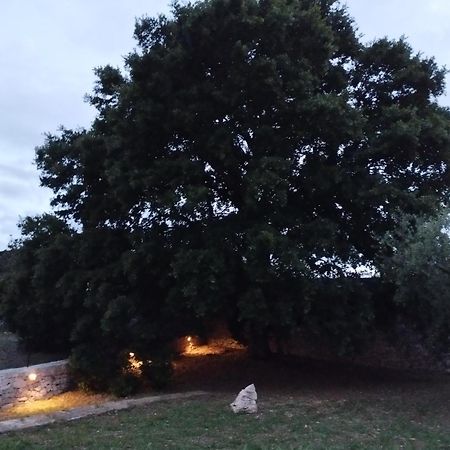 فيلا Trulli La Quercia Del Nonno لوكوروتوندو المظهر الخارجي الصورة
